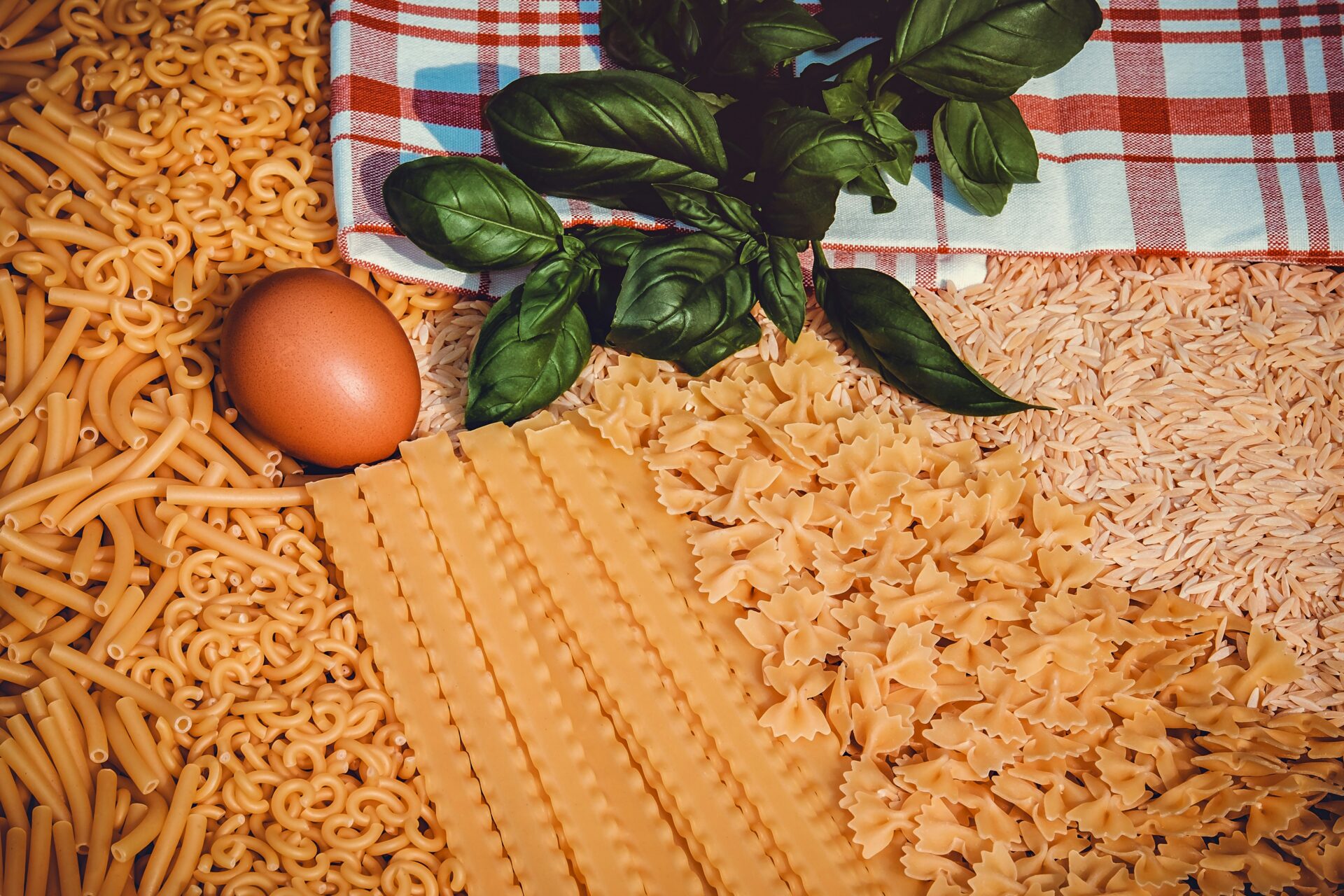 agroalimentare