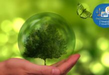 Fonti rinnovabili e mercato dell’energia le audizioni di questa settimana rinnovabili