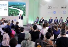 Cop30: iniziative per trasformare gli impegni in azioni concrete Cop30