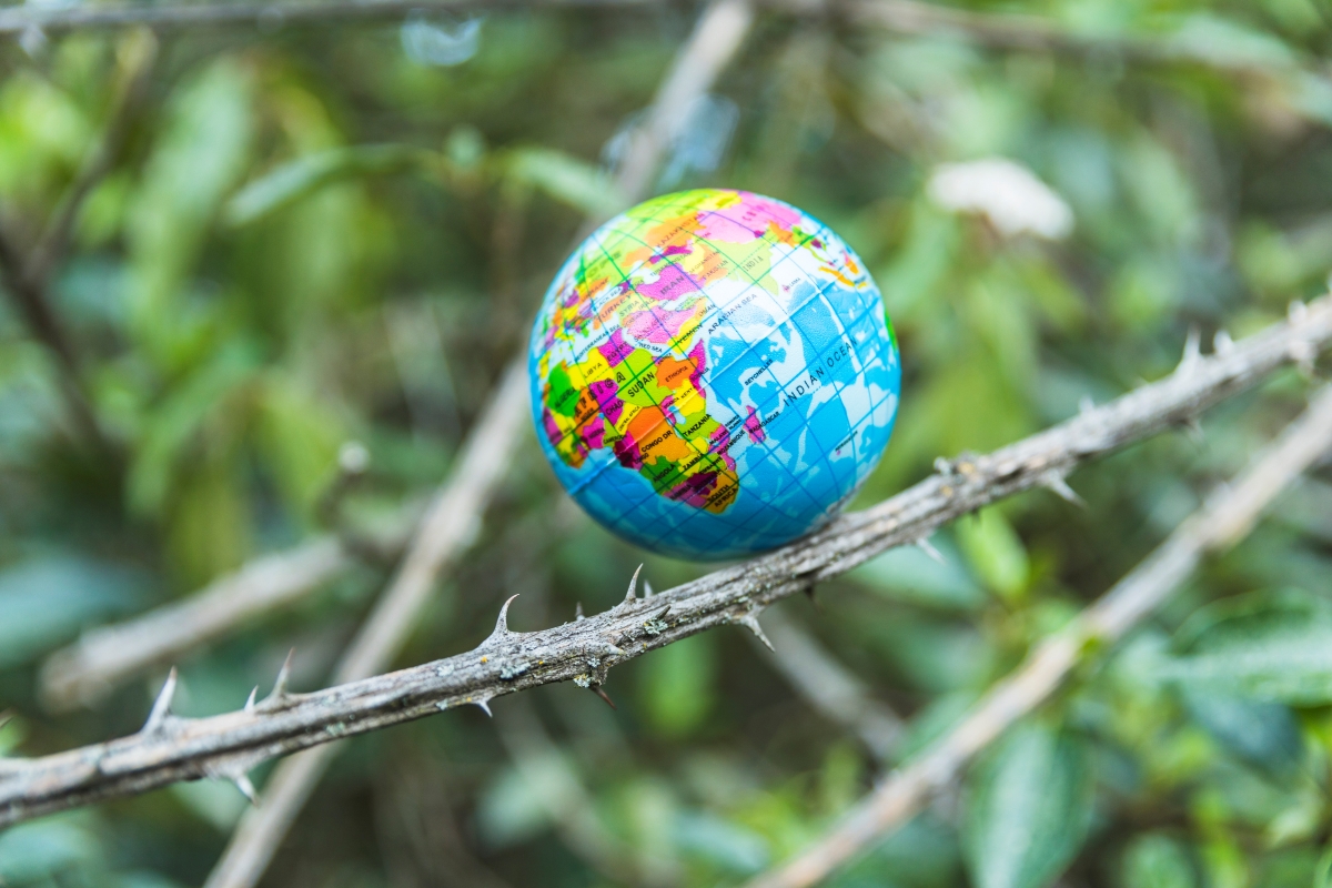 Designed By Freepik Small Globe Branch Tree