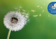 Costo energia ed ecar le interrogazioni della settimana costo energia