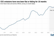 Emissioni, la Cina frena: CO2 in calo per 18 mesi consecutivi Cina