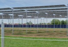 Agrivoltaico: sviluppati 11,5 GW di progetti in nove mesi agrivoltaico