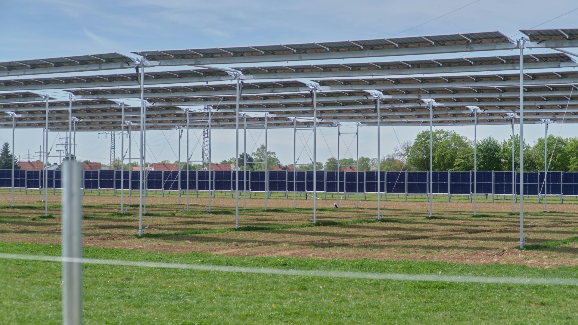 agrivoltaico