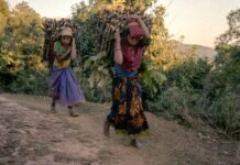 Cop30 al via in Brasile tra emergenza climatica e urgenza sociale Cop30