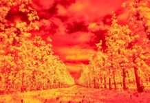 Allarme globale sul clima: obiettivo 1.5°C è ormai irraggiungibile? clima