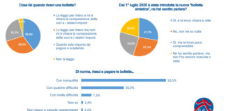 Povertà energetica, il 38% paga la bolletta con difficoltà povertà energetica-2