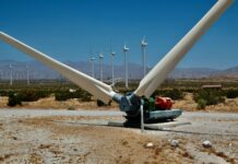 Motore umano della transizione: eolico alla sfida delle competenze eolico