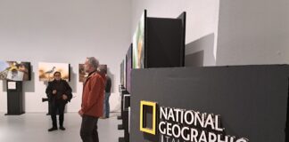 Il Bel Paese della biodiversità (a rischio)