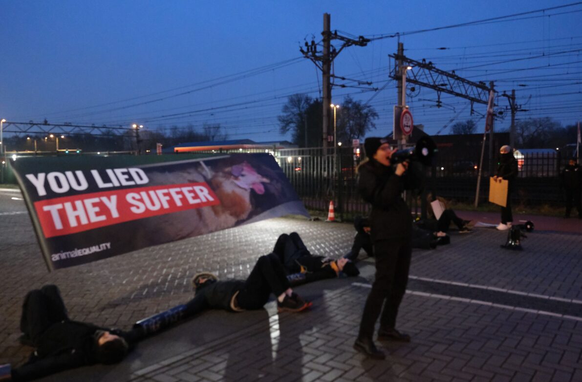 diritto animali protesta Ahold Delhaize