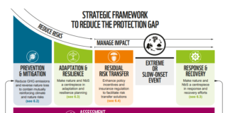L’insostenibile costo dei disastri: perché le assicurazioni non bastano più WWF assicurazioni impatto disastri