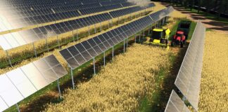 Agrivoltaico, il nuovo volto del fotovoltaico italiano agrivoltaico