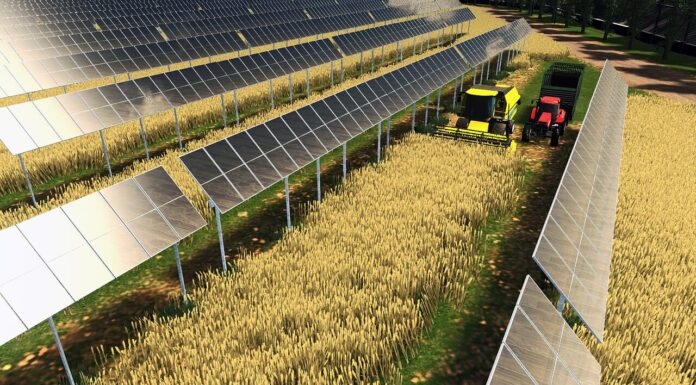 Agrivoltaico, il nuovo volto del fotovoltaico italiano agrivoltaico