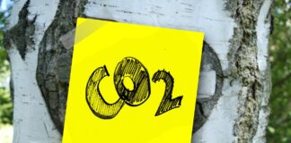 Autotrasporto, arrivano i contributi: a primavera i bandi per i 590 milioni di euro del Fondo Mobilità co2- Logistica