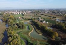 Qual’è il valore economico della funzione svolta da zone umide