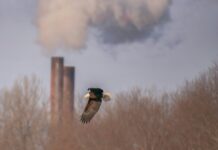 Il mondo al bivio: 2026 inaugura era della competizione globale competizione