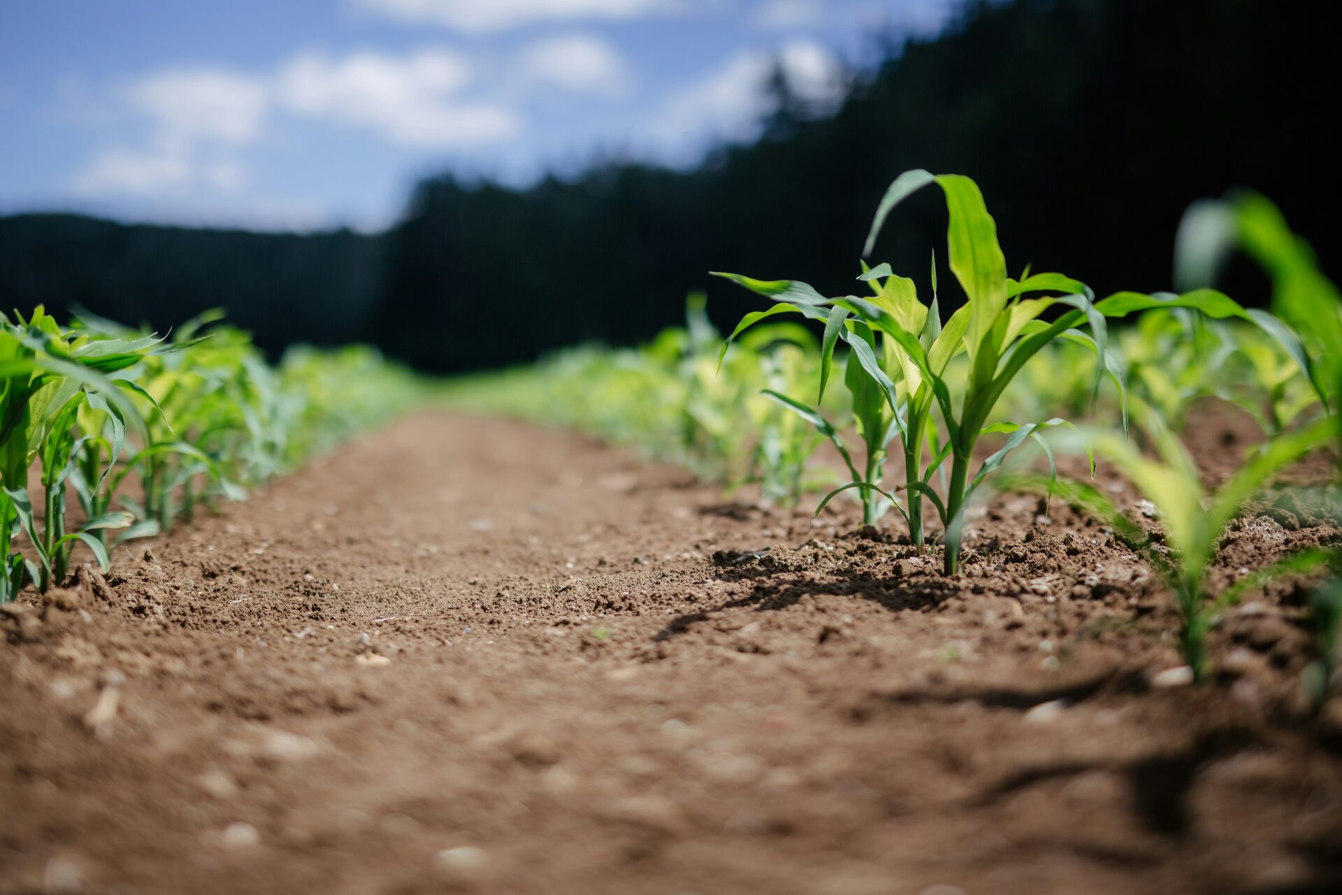 agrifoodtech
