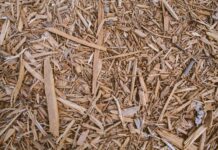 In Italia vola la produzione elettrica da biomasse biomasse