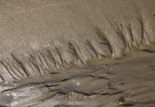 Riciclo, dai fanghi alla risorsa: accordo tra Scuola IMT e Lucart per un nuovo brevetto sostenibile fanghi