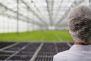 Scientist Researching Plants Diseases Greenhouse