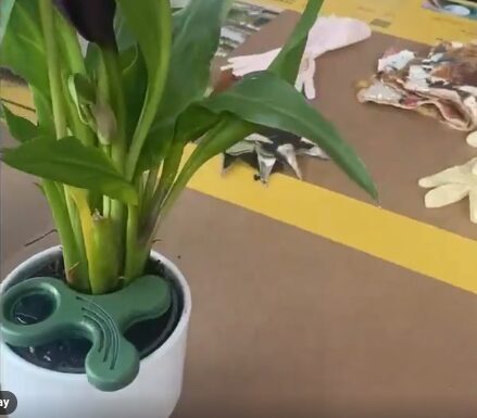 Arte e transizione ecologica in mostra al Key arte e transizione ecologica