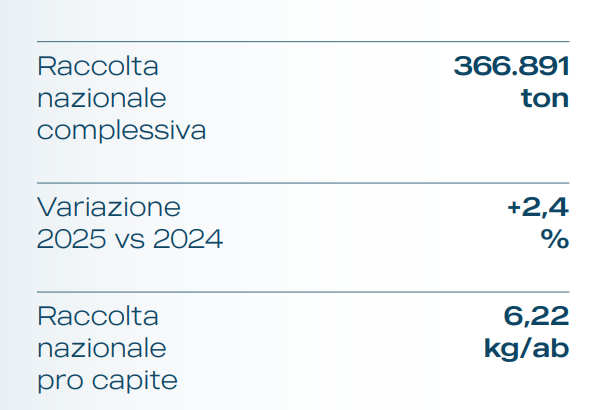 raee 2025 dati macro