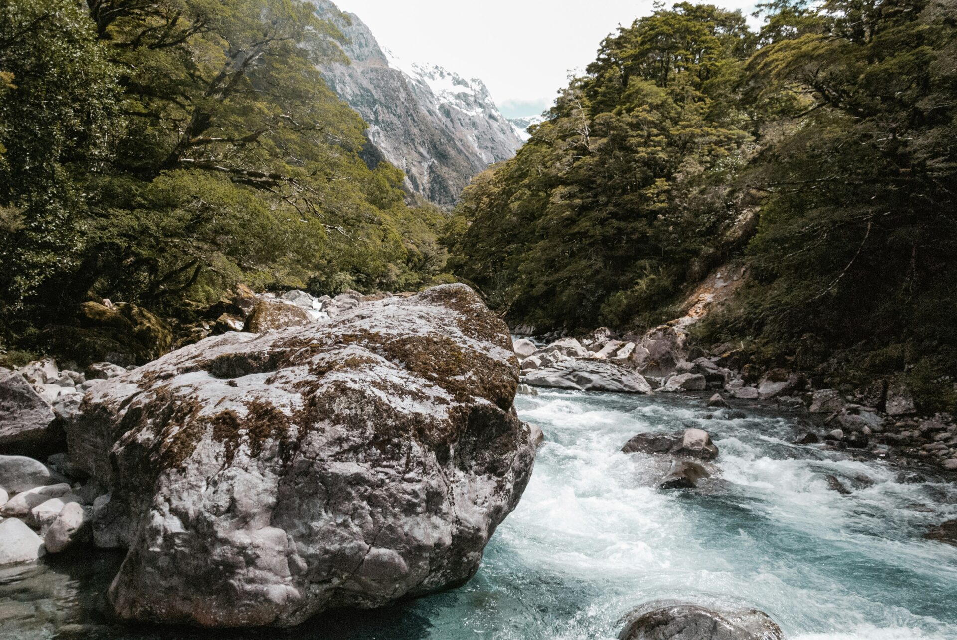 acqua