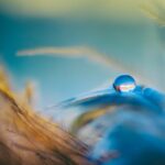 Building a Water Smart Economy in the Euro-Mediterranean Area. The Role of Business acqua