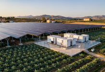 Agrivoltaico e batterie: la Sicilia al centro dei nuovi investimenti di Elgin AgriPV project