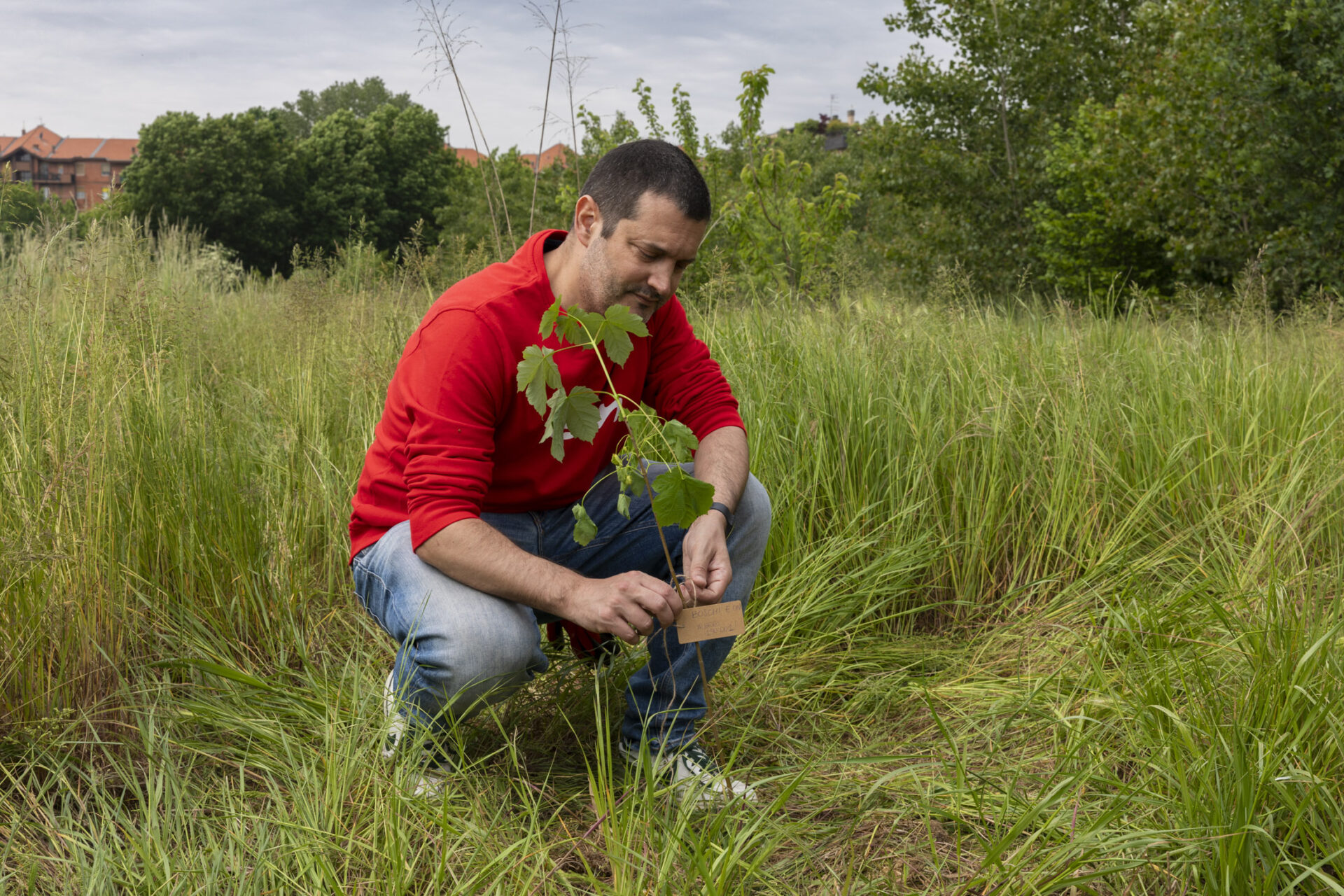 E.ON_Parco_Vettabbia_Conti 1