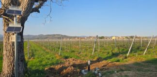 In Veneto nasce il progetto GRAPE per un’irrigazione hi-tech e sostenibile GRAPE_2