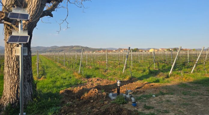 In Veneto nasce il progetto GRAPE per un’irrigazione hi-tech e sostenibile GRAPE_2