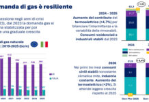 “Difficile ipotizzare dismissione delle reti di distribuzione gas” gas