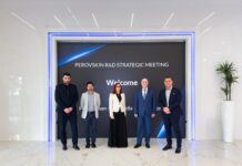 Fotovoltaico del futuro: New Time accelera sul progetto PEROVSKIN peroskite