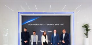 Fotovoltaico del futuro: New Time accelera sul progetto PEROVSKIN peroskite