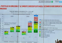 Rimozione della CO2 per raggiungere la neutralità climatica, gli strumenti possibili per l’Italia rimozione CO2