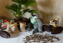 Il valore della sostenibilità dietro la dolcezza del cacao cacao sostenibile