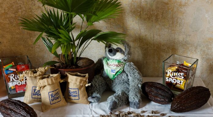 Il valore della sostenibilità dietro la dolcezza del cacao cacao sostenibile