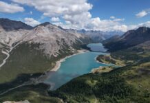 Giornata Europea dei Parchi: armonia tra essere umano e natura parchi