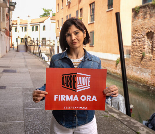 La chef stellata Chiara Pavan: “Vietare gabbie negli allevamenti” allevamenti