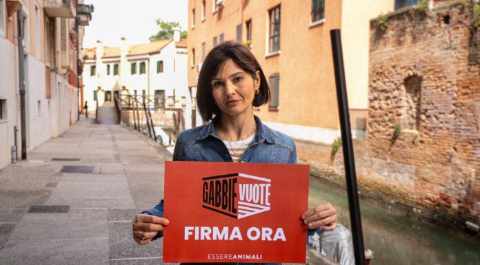 La chef stellata Chiara Pavan: “Vietare gabbie negli allevamenti” allevamenti
