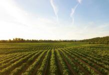 L’UE riforma il mercato dei biocidi, priorità alla sicurezza biocidi