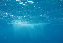 Mediterraneo abissale, parte il progetto Deep-Impact Mediterraneo