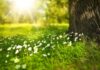 Settimana della Natura 2026: dal turismo che limita i danni a quello che restituisce valore fiori Settimana della Natura 2026