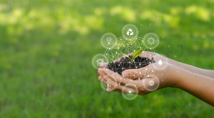 Il “Made in Italy” che innova: Aton vola con l’AI, WeForGreen accelera sulla transizione condivisa bilancio sociale