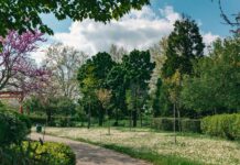 La biodiversità viaggia in tram e abita l’Italia biodiversità