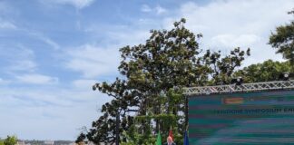 L’Italia e il bivio delle rinnovabili: colmare il gap sul PNIEC vale 17 miliardi all’anno e 60mila posti di lavoro fratin