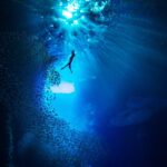 Venezia, al via l’Artivism Awards IV per la salvaguardia degli oceani Kurt arrigo opera
