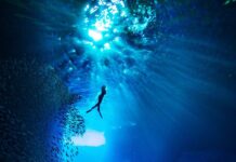 Venezia, al via l’Artivism Awards IV per la salvaguardia degli oceani Kurt arrigo opera