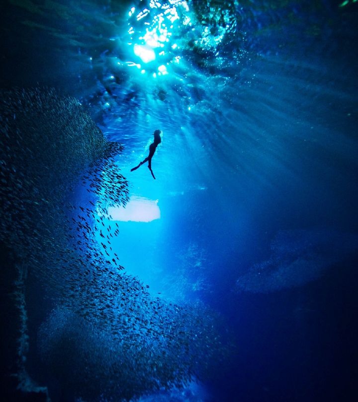 Kurt arrigo opera